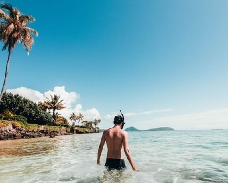 Coki Beach Snorkeling & Coral World Visit in St. Thomas