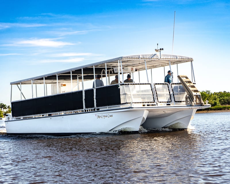 1.5-Hour Ten Thousand Islands Guided Cruise