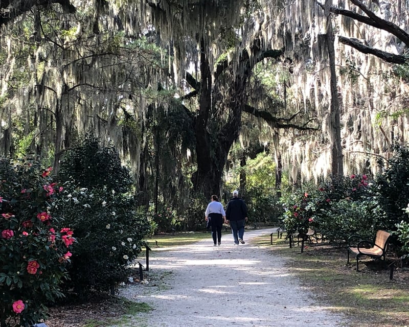 Guided Honey Horn Grounds Tour