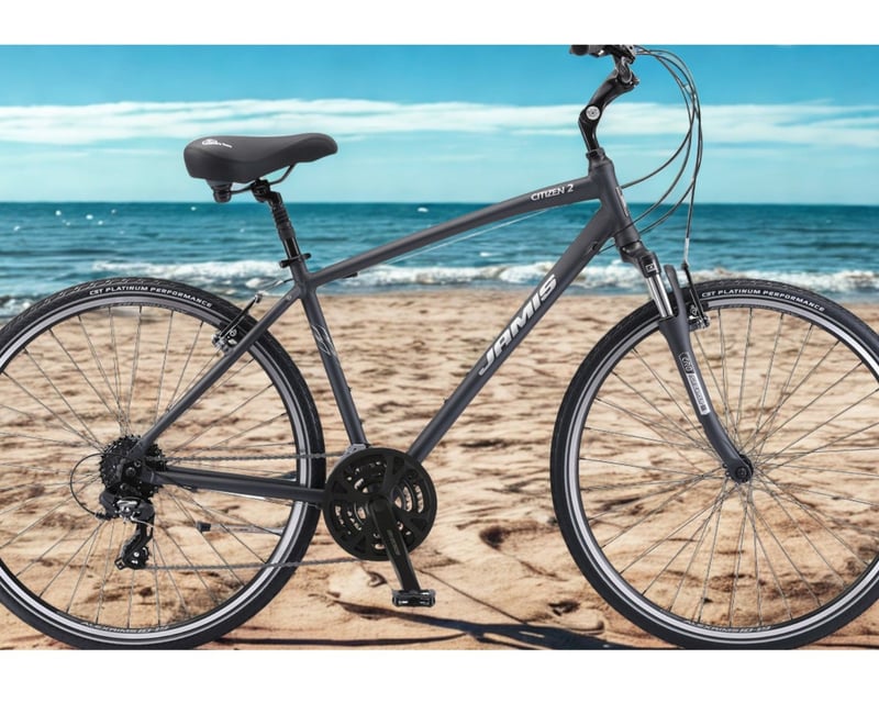 3-Day Single or Tandem Bike Rental in Petoskey