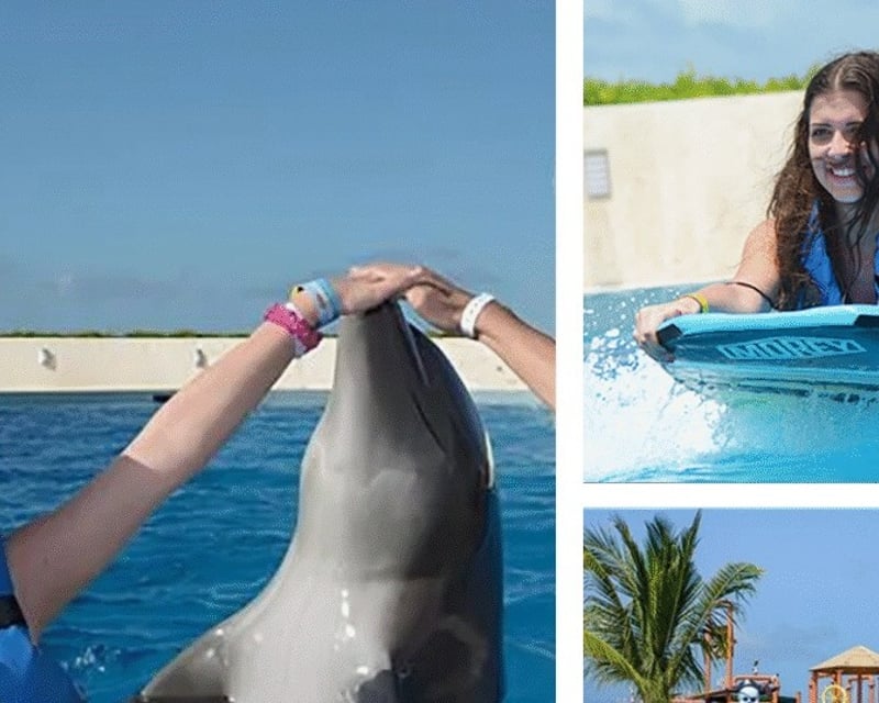 Family Dolphin Encounter with Certified Trainers