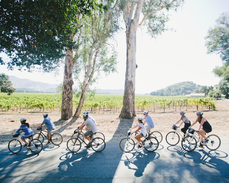 Full-Day Napa Valley E-Bike Tour