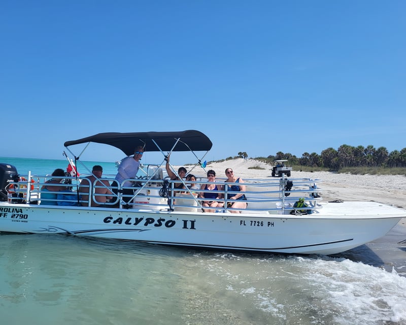 Private Shell Key Dolphin & Shelling Tour