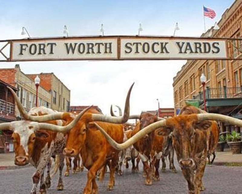 Stockyards Guided E-Bike Extended Tour