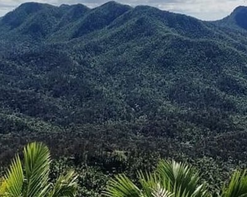 El Yunque Waterslide Tour