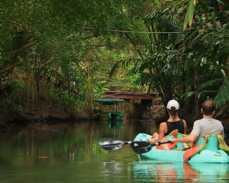 Peñas Blancas River Wildlife Kayak Tour near La Fortuna