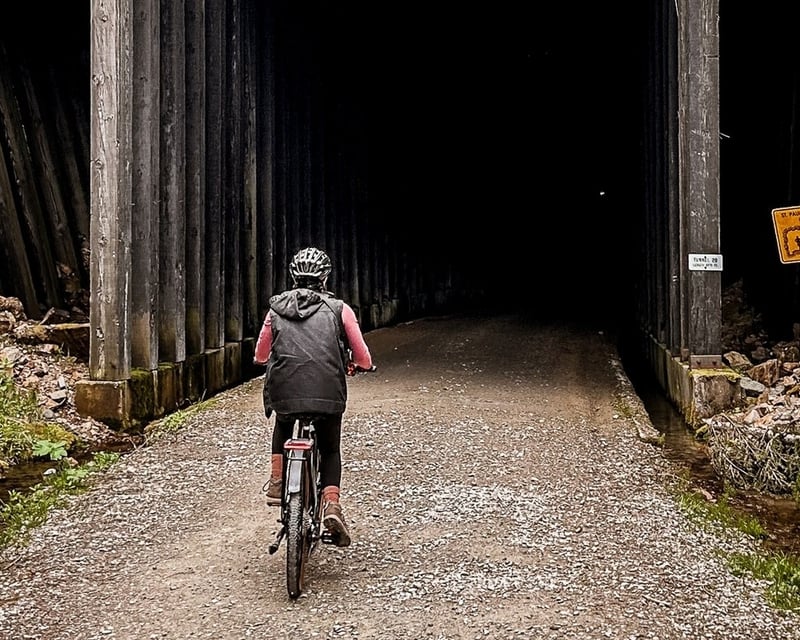 4-Hour Hiawatha Trail E-Bike Rental