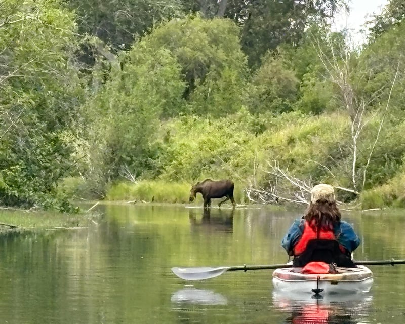 Knik River Half-Day Guided Kayak Tour