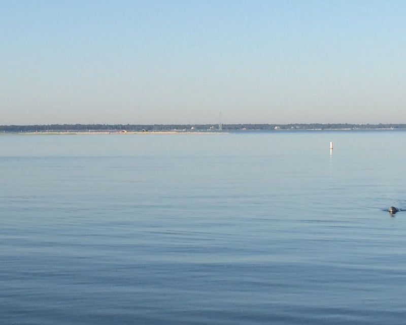 Charleston 2.5-Hour Private Boat Rental