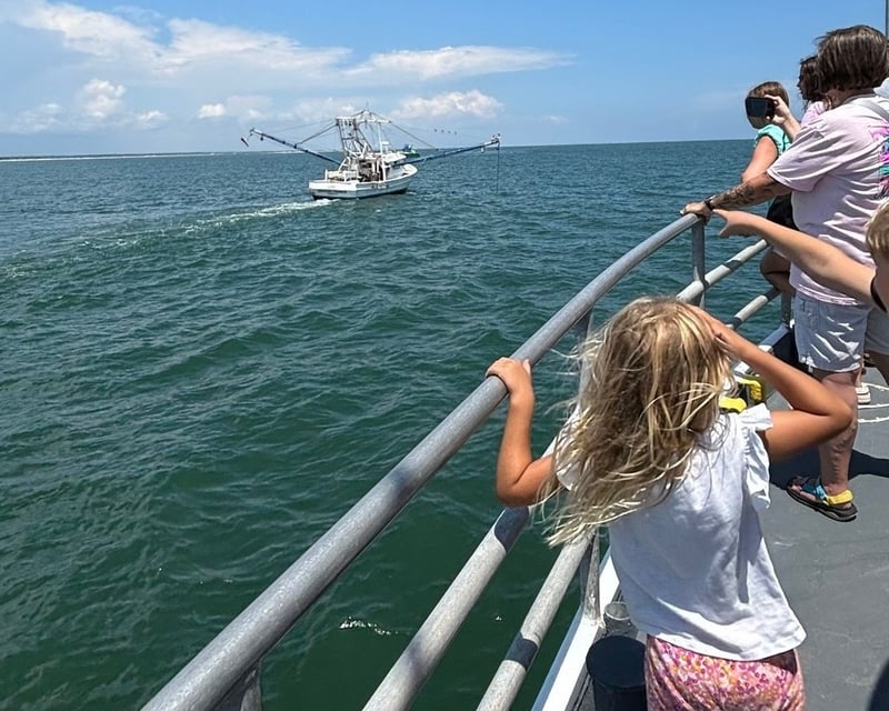 2-Hour Dolphin Cruise in North Myrtle Beach