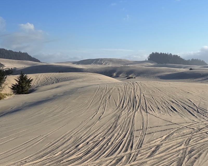 1-Hour ATV & UTV Rental in Winchester Bay