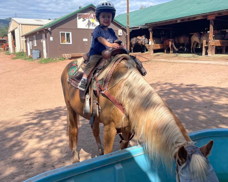 Private Horseback Riding Lesson in Colorado Springs
