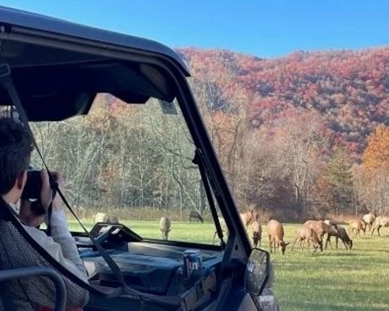 Guided UTV Elk Safari with Cherokee History
