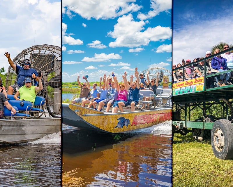 Everglades Mangrove Airboat & Swamp Buggy Tours