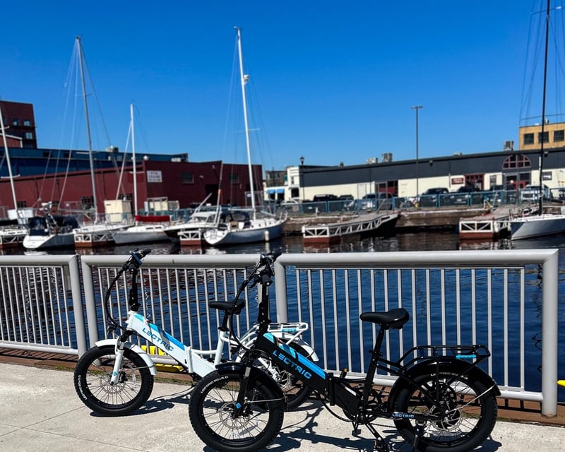 Duluth Sightseeing Cruise & E-Bike Rental