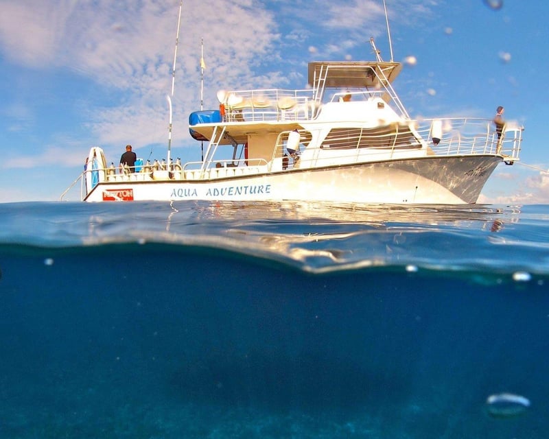 Snorkel & Snuba Diving Fast Boat Tour in Maui