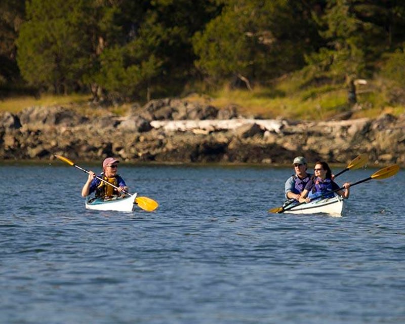 3-Hour Guided Kayak Tour From Deer Harbor