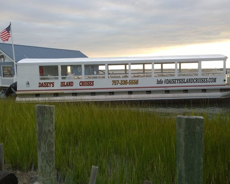 Chincoteague Wildlife Boat Cruise