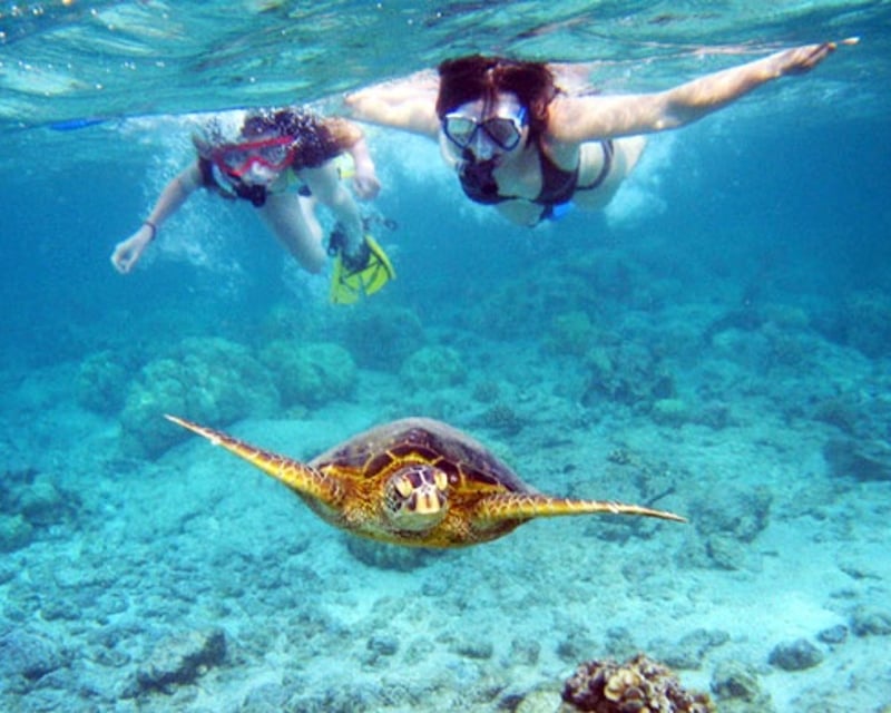 Maho Bay Sea Turtle Snorkel Sail from St. Thomas
