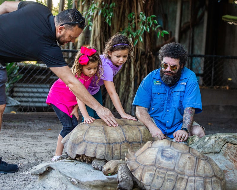 Private 1-Hour Reptile Exhibit Tour in Weston
