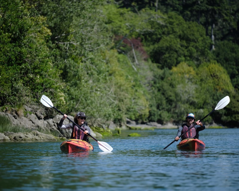 Chetco River Wildlife Kayak Tour in Brookings