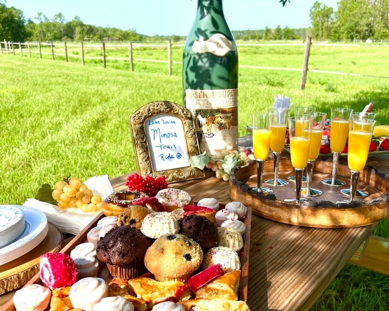 Clermont Brunch Horseback Trail Ride