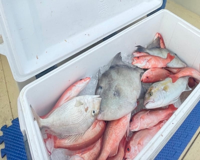 Tybee Island Full-Day Offshore Fishing Charter