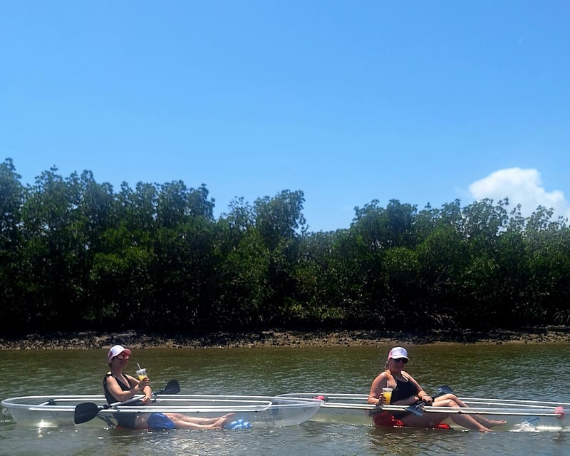New Smyrna Beach Mimosa Mangrove Paddle Tour
