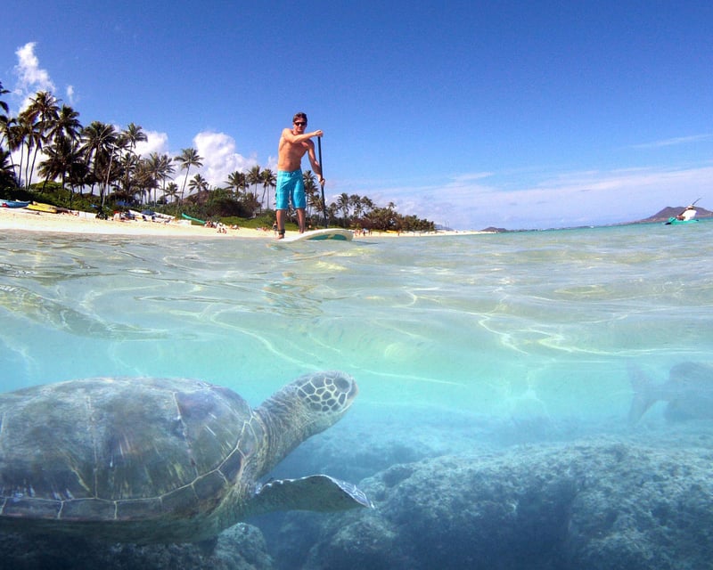Explore Kailua on a Self-Guided SUP Tour