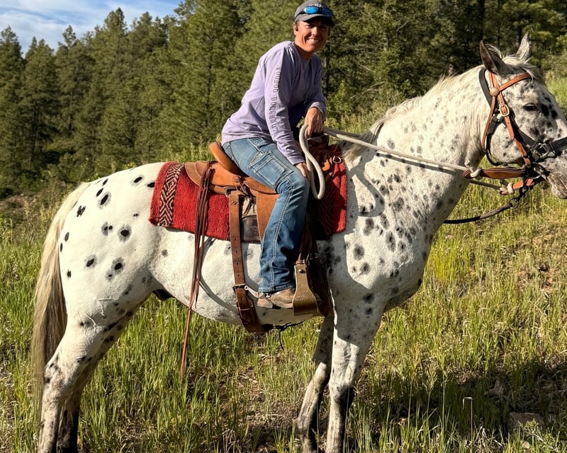 Guided Horseback Trail Ride in Pagosa Springs