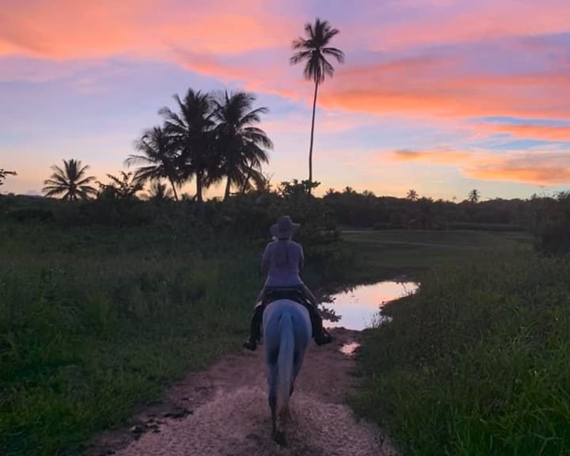 Guided Sunset Horseback Ride in Palmas del Mar