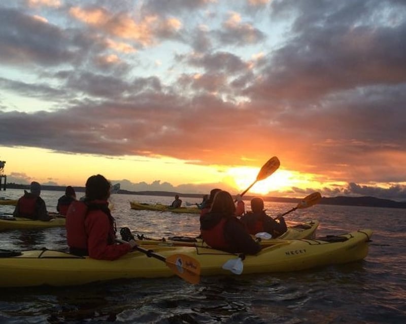 Seattle Sunset Sea Kayak Tour on Elliott Bay