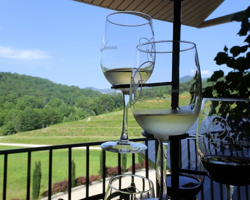 Guided Winery Wine Tasting in Marietta, SC
