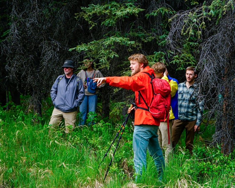 Denali National Park 3-Hour Guided Walking Tour