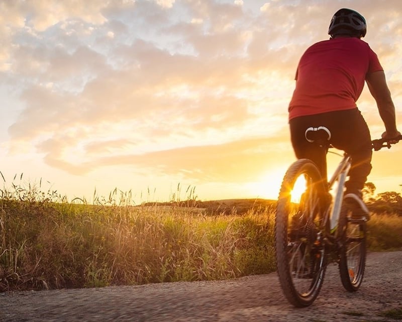 4-Hour Bike Rental in Petoskey