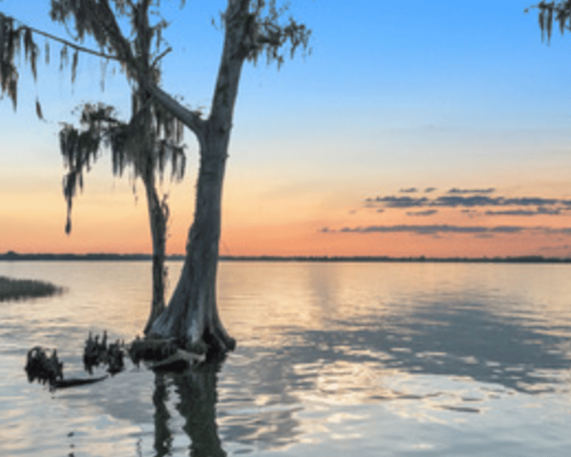 Pontoon Boat Pub Crawl on the Winter Haven Chain of Lakes
