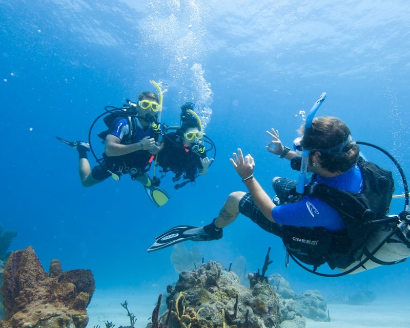 Guided 2-Tank Dive Charter in Waikiki