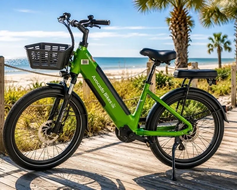Full-Day E-Bike Rental on Hilton Head Island