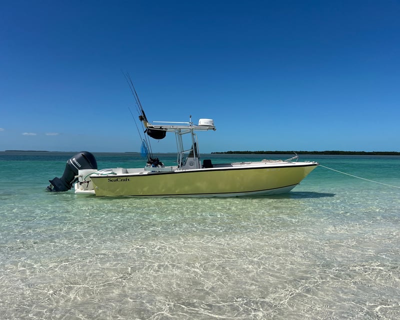 Full-Day Private Sandbar & Snorkel Charter in Big Pine Key