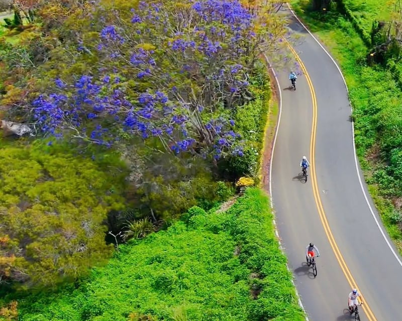 30-Mile Guided Bike Tour in Maui