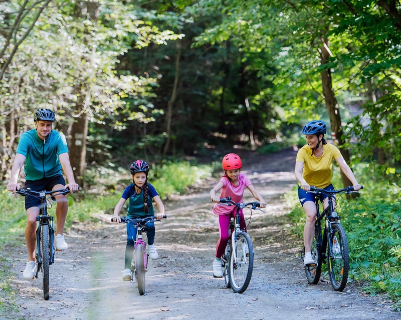 Lackawanna State Park 1-Hour Bike Rental
