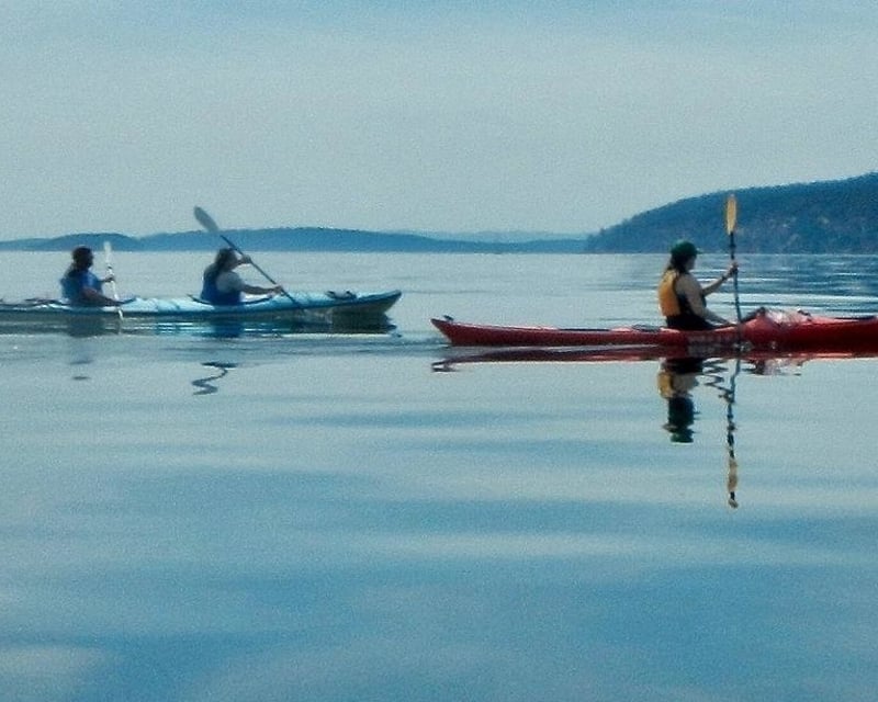 Jones Island 5-Hour Kayak Tour