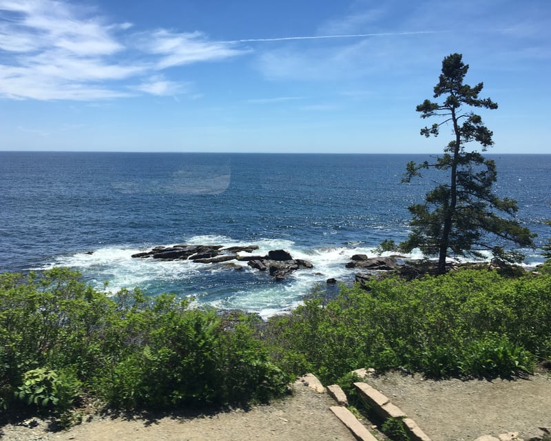 4-Hour Acadia National Park Guided Tour