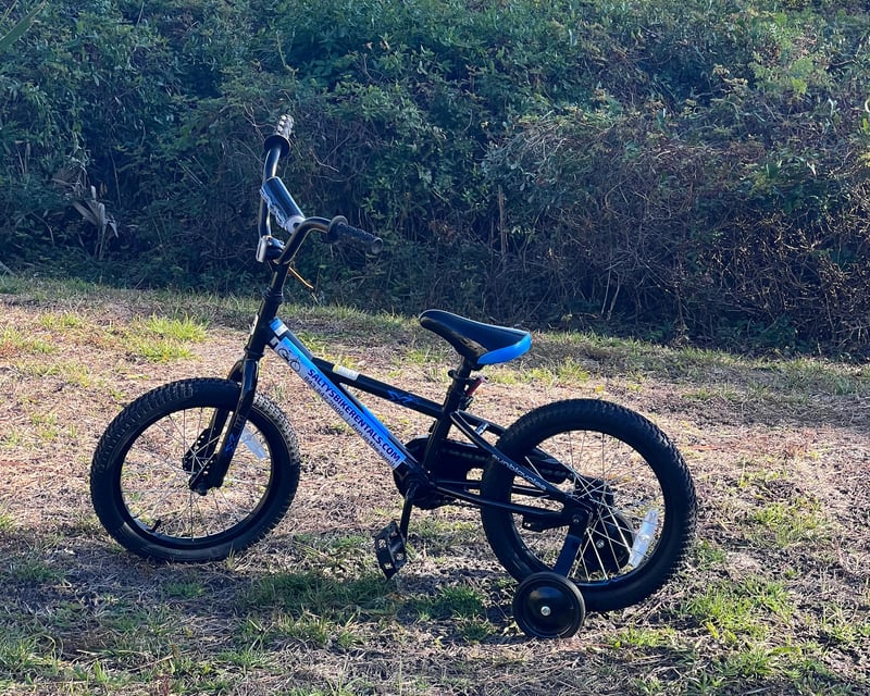 Hilton Head Island 16" Kids Beach Cruiser Rental