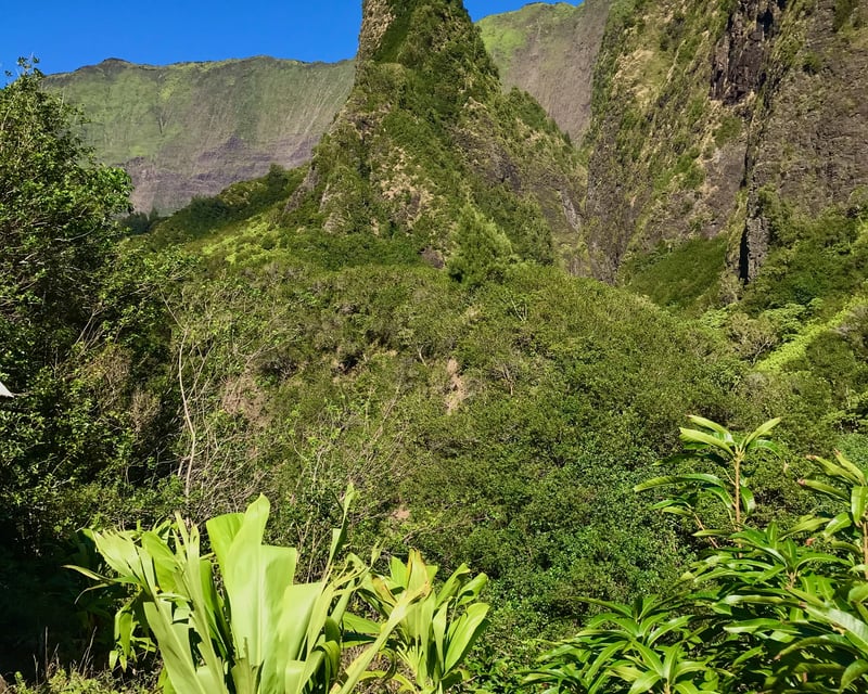 Private Haleakalā National Park & ʻĪao Valley Tour