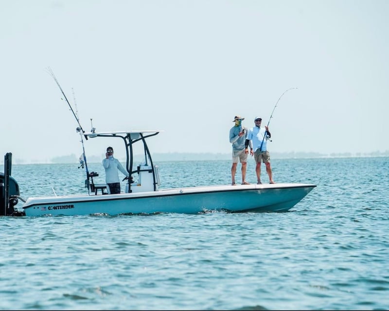 Offshore Shark Fishing Charter in Fort Myers Beach