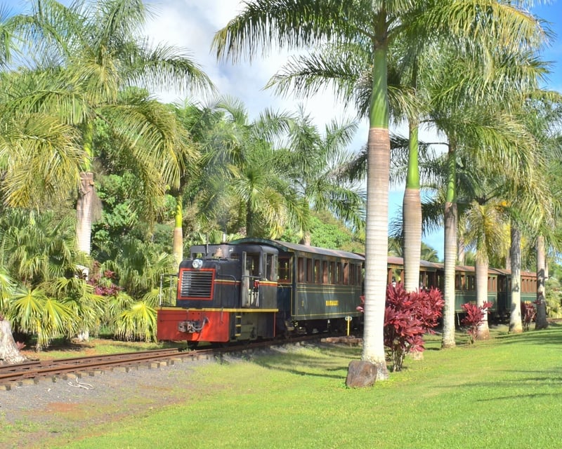 Plantation Train, Fruit Orchard Walk & Lunch in Lihue