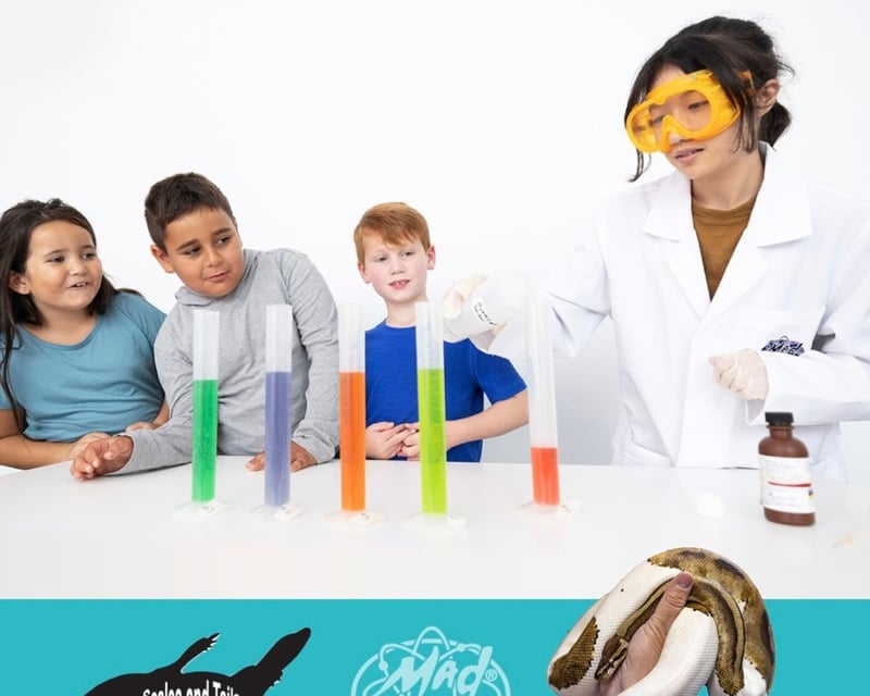 Animal & Science Birthday Party in Kearns, Utah