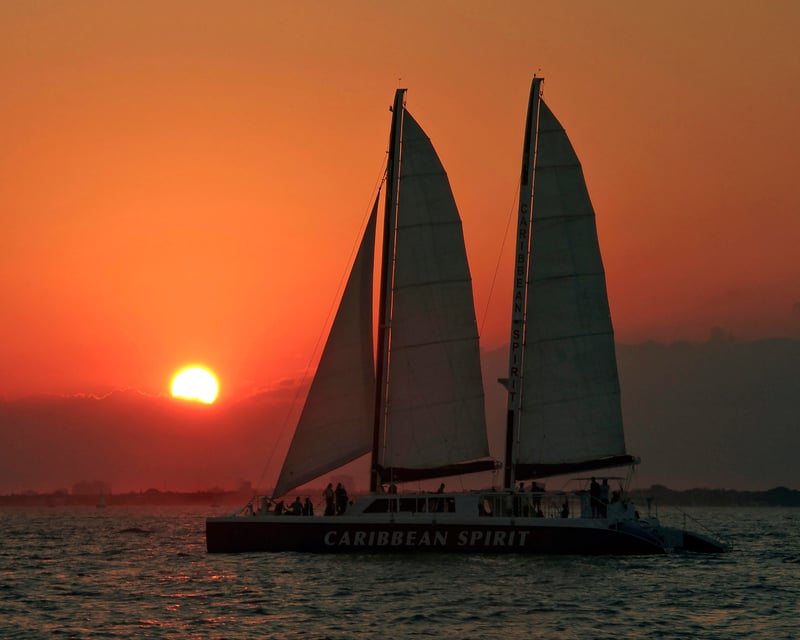 Sunset Catamaran Cruise Along the Miami Skyline