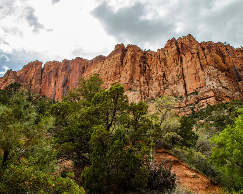 Lower Water Canyon Guided Hike from St George